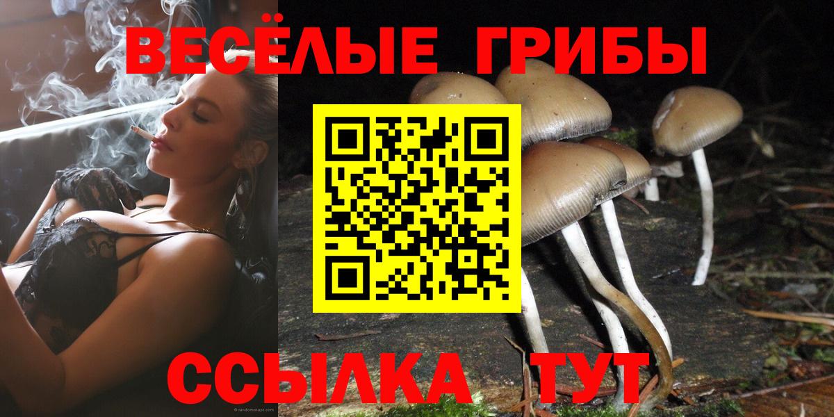 Галлюциногенные грибы GOLDEN TEACHER Кимры