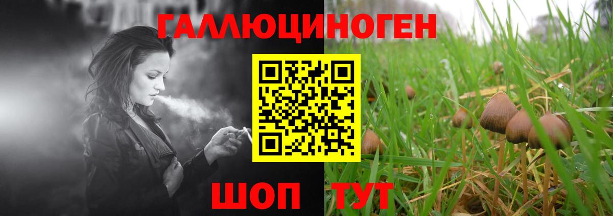 Кимры  Галлюциногенные грибы Magic Shrooms  Вход с VPN 