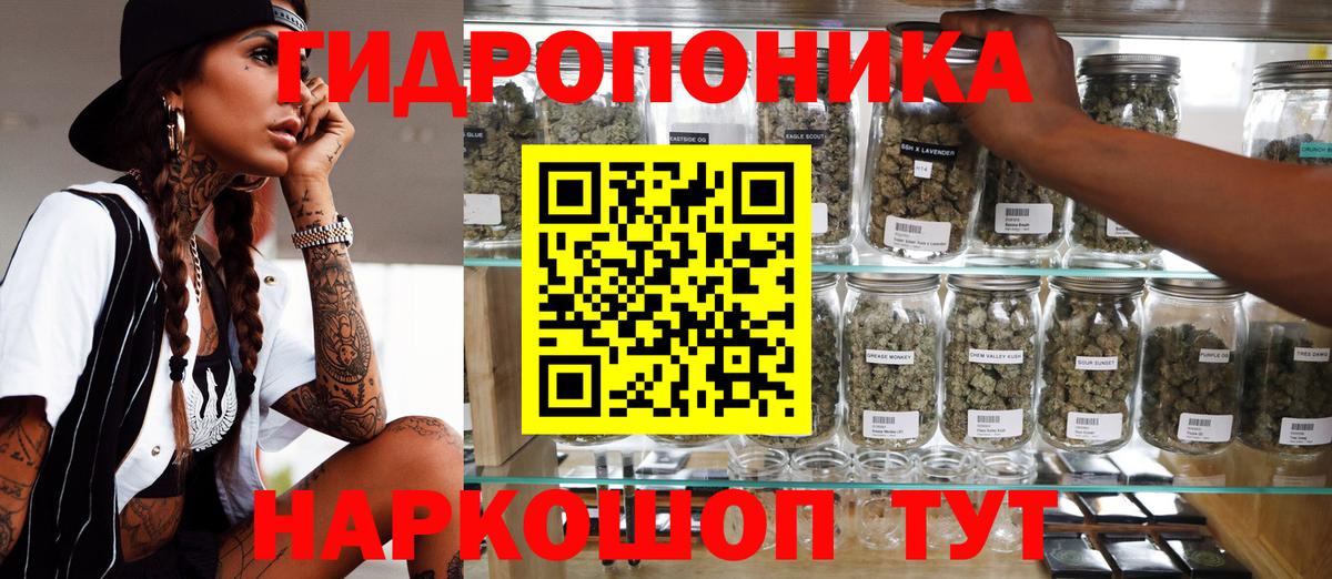 Кимры  Бошки марихуана SATIVA & INDICA  Бошки марихуана индика  Марихуана OG Kush  Вход с VPN  Марихуана Amnesia 